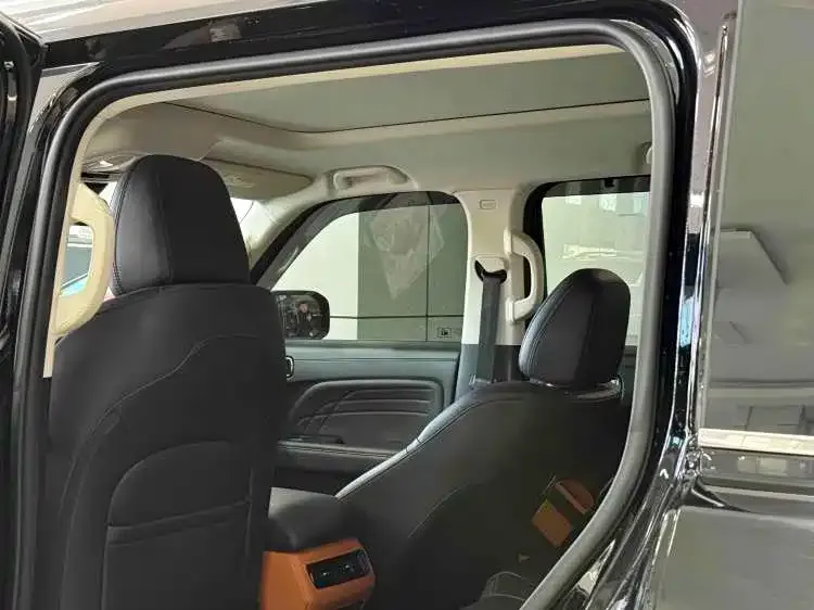 Haval Menglong New Energy 2024 из CN, фото 9