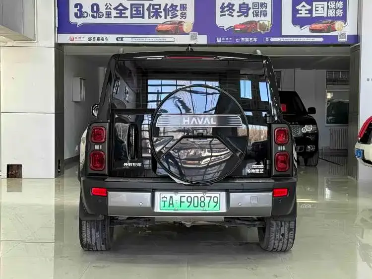 Haval Menglong New Energy 2024 из CN, фото 4