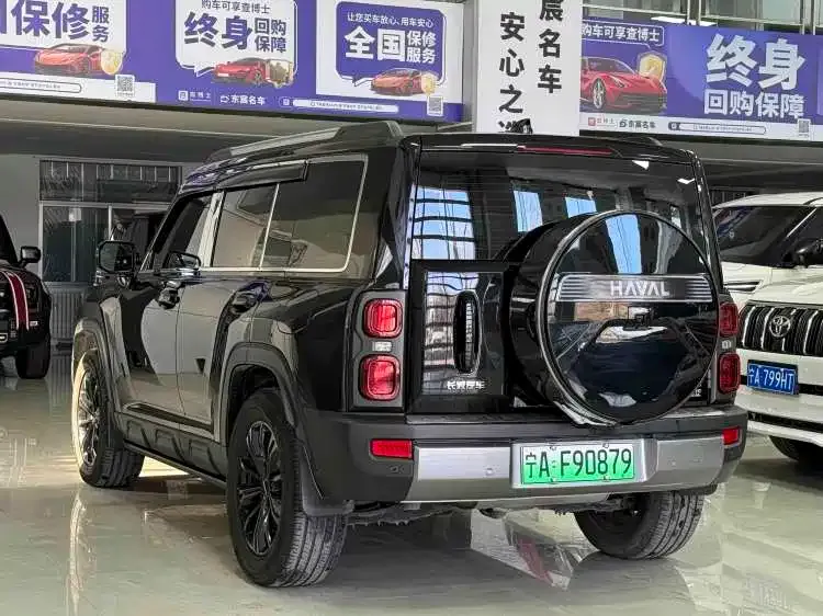 Haval Menglong New Energy 2024 из CN, фото 10