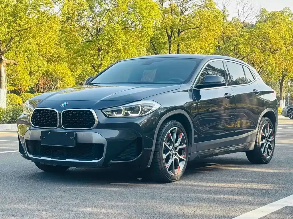BMW X2 2022 из CN, фото 1