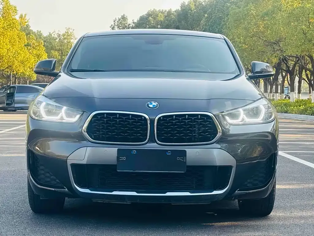 BMW X2 2022 из CN, фото 2