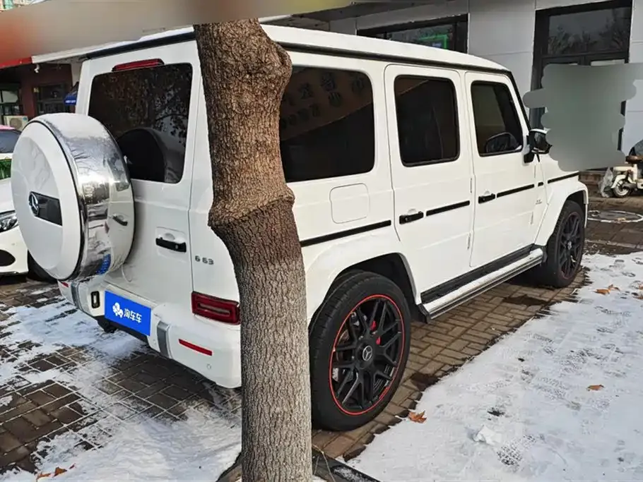 Mercedes-Benz G-Class 2021 из CN, фото 5