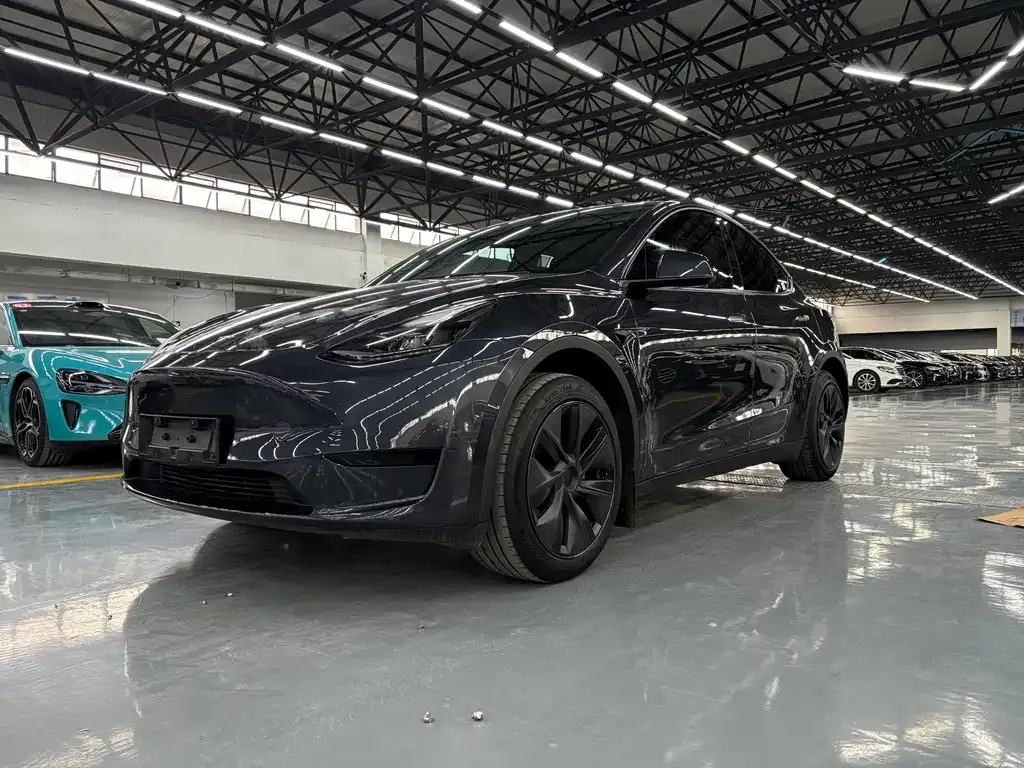 Tesla Model Y — фото 1