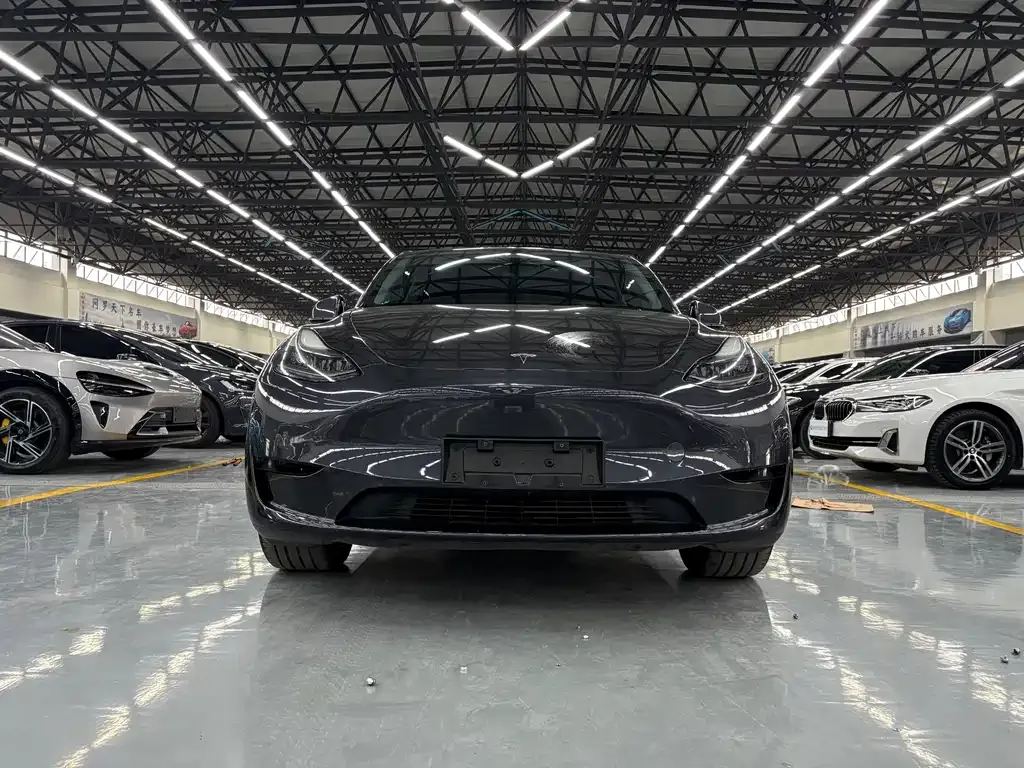 Tesla Model Y — фото 10
