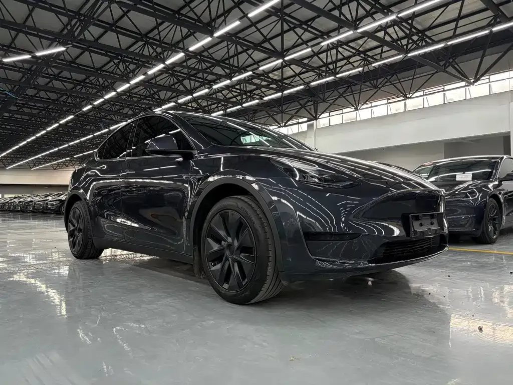 Tesla Model Y — фото 8