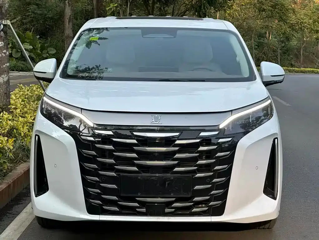 BYD Xia 2025 из CN, фото 8