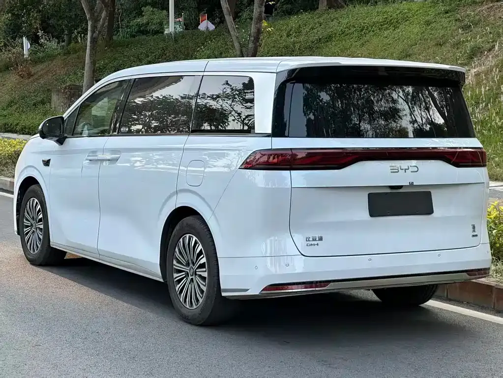 BYD Xia 2025 из CN, фото 5