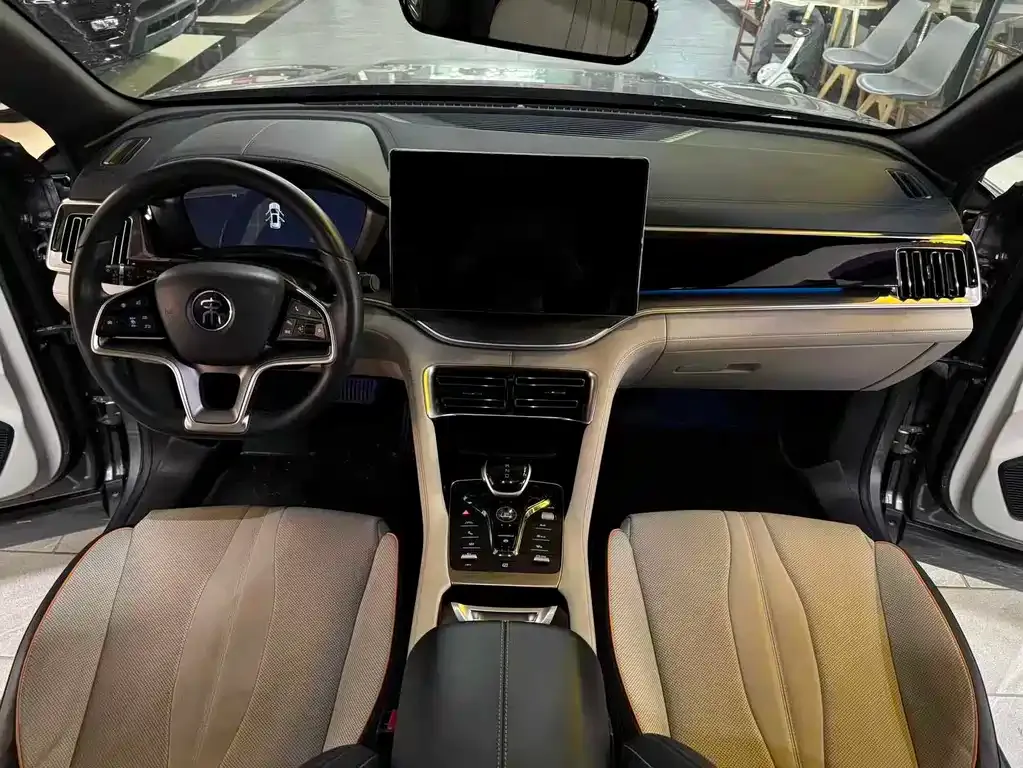 BYD PLUS New Energy — фото 6
