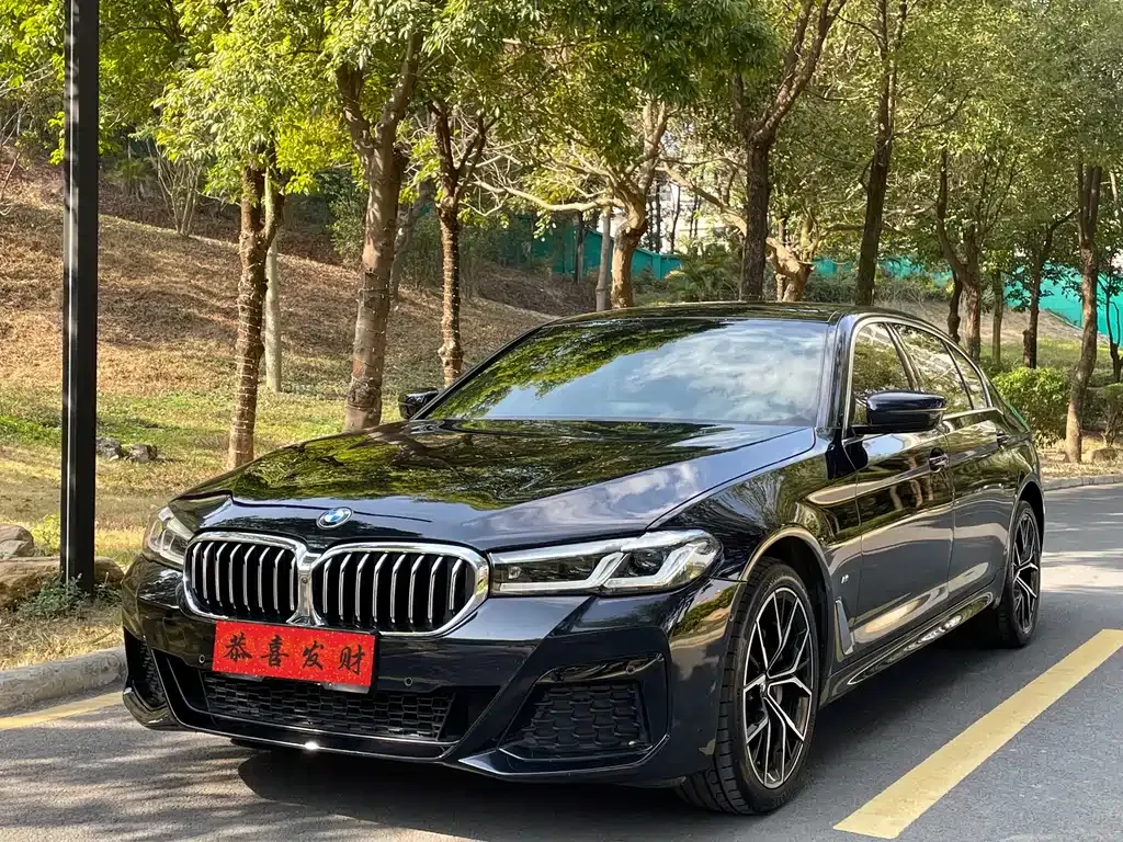 BMW 5 Series 2022 из CN, фото 1