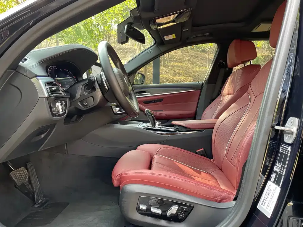 BMW 5 Series 2022 из CN, фото 5