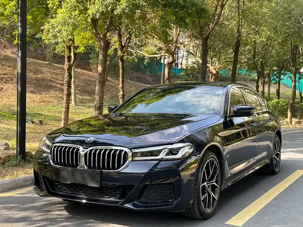 BMW 5 Series 2022 из CN, фото 9