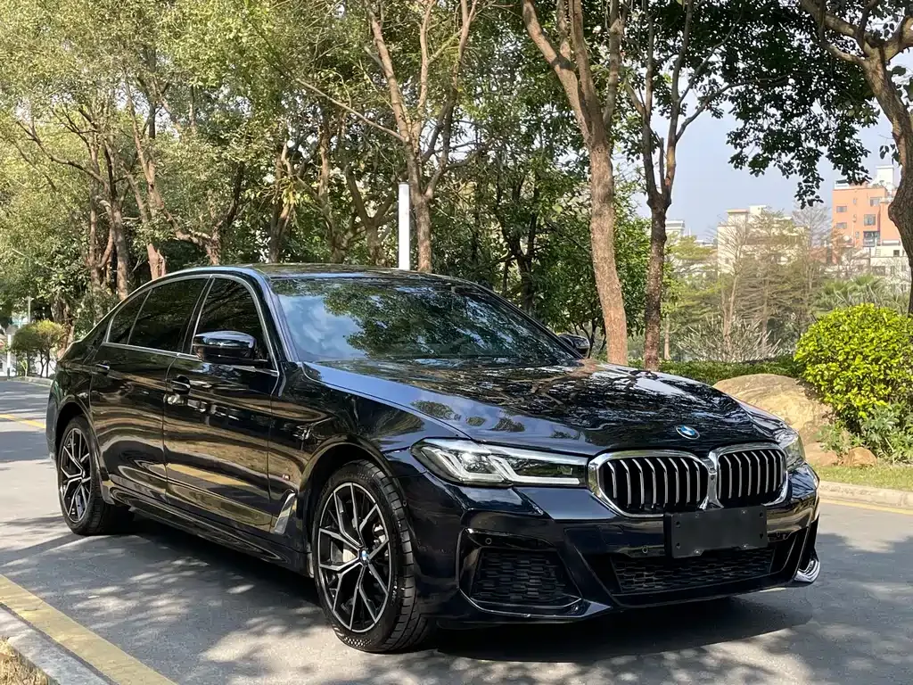 BMW 5 Series 2022 из CN, фото 3