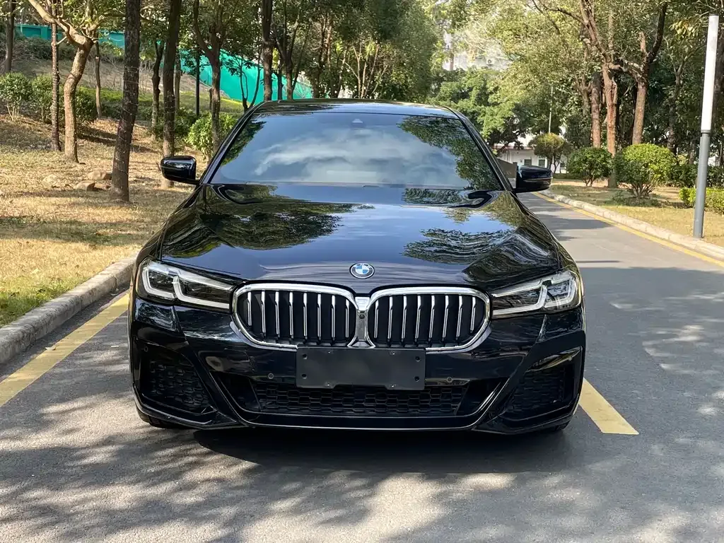 BMW 5 Series 2022 из CN, фото 4