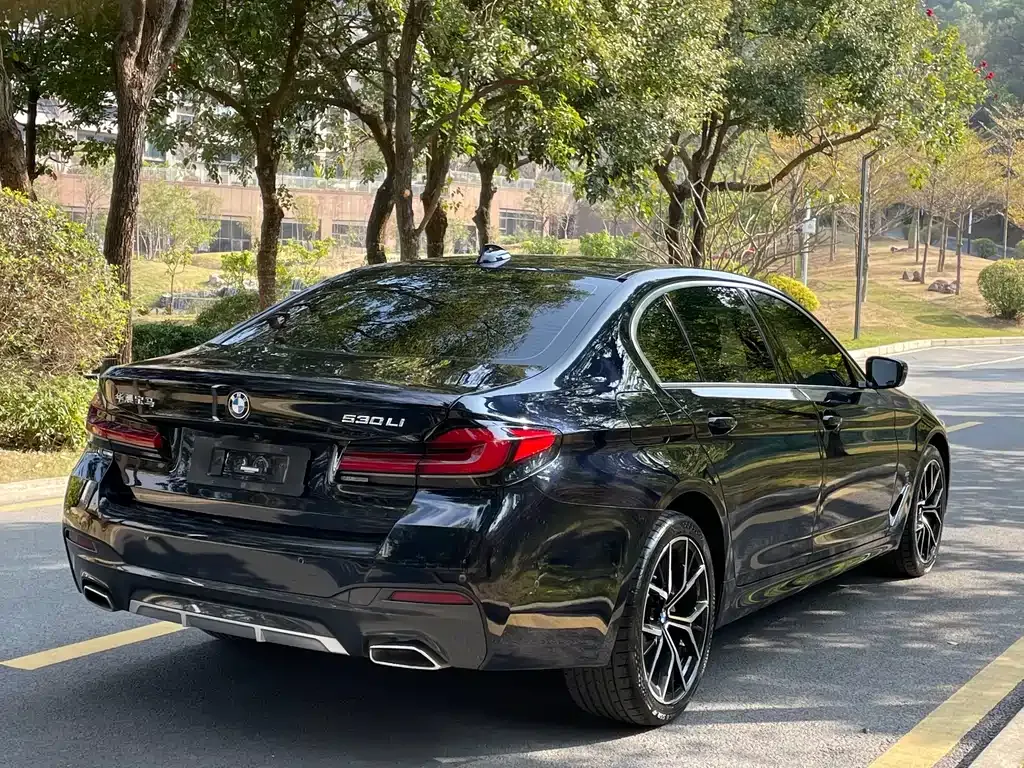 BMW 5 Series 2022 из CN, фото 6