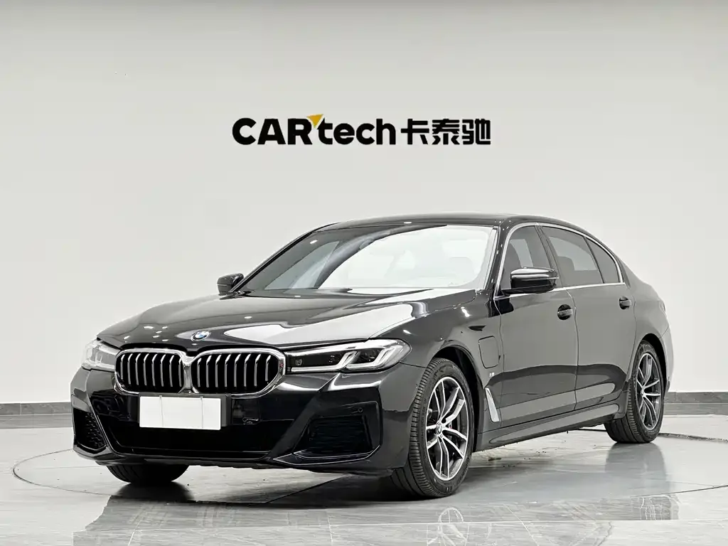BMW 5 Series New Energy 2021 из CN, фото 1