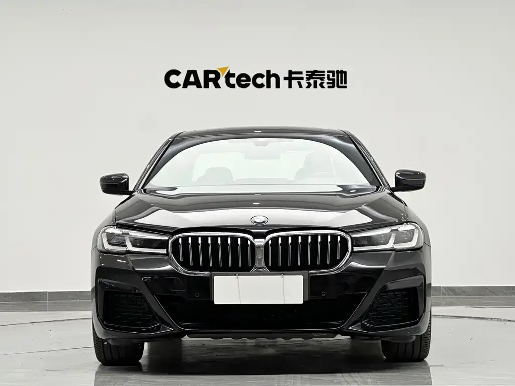 BMW 5 Series New Energy 2021 из CN, фото 4