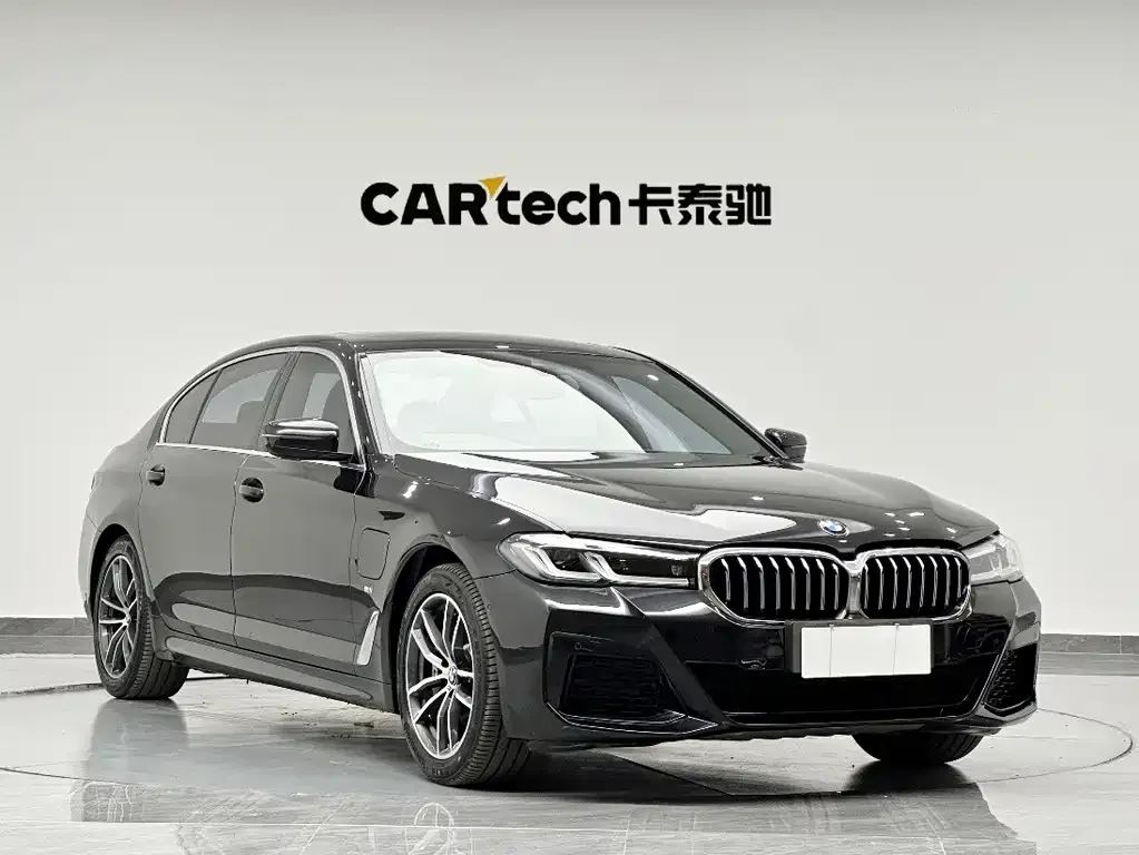 BMW 5 Series New Energy 2021 из CN, фото 5