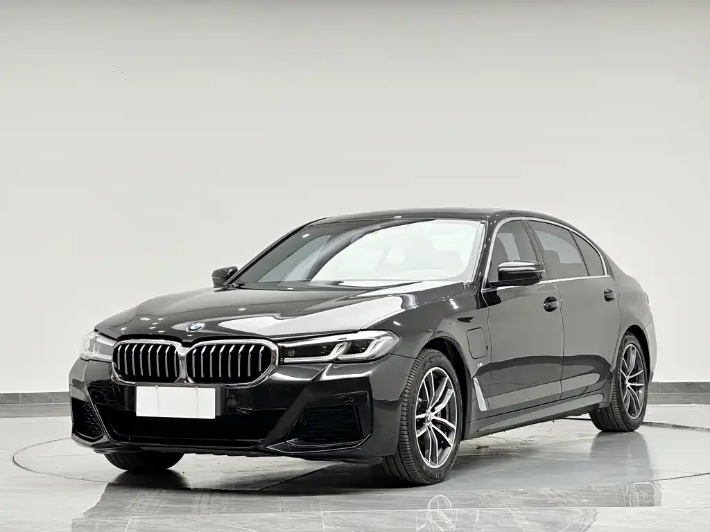 BMW 5 Series New Energy 2021 из CN, фото 3