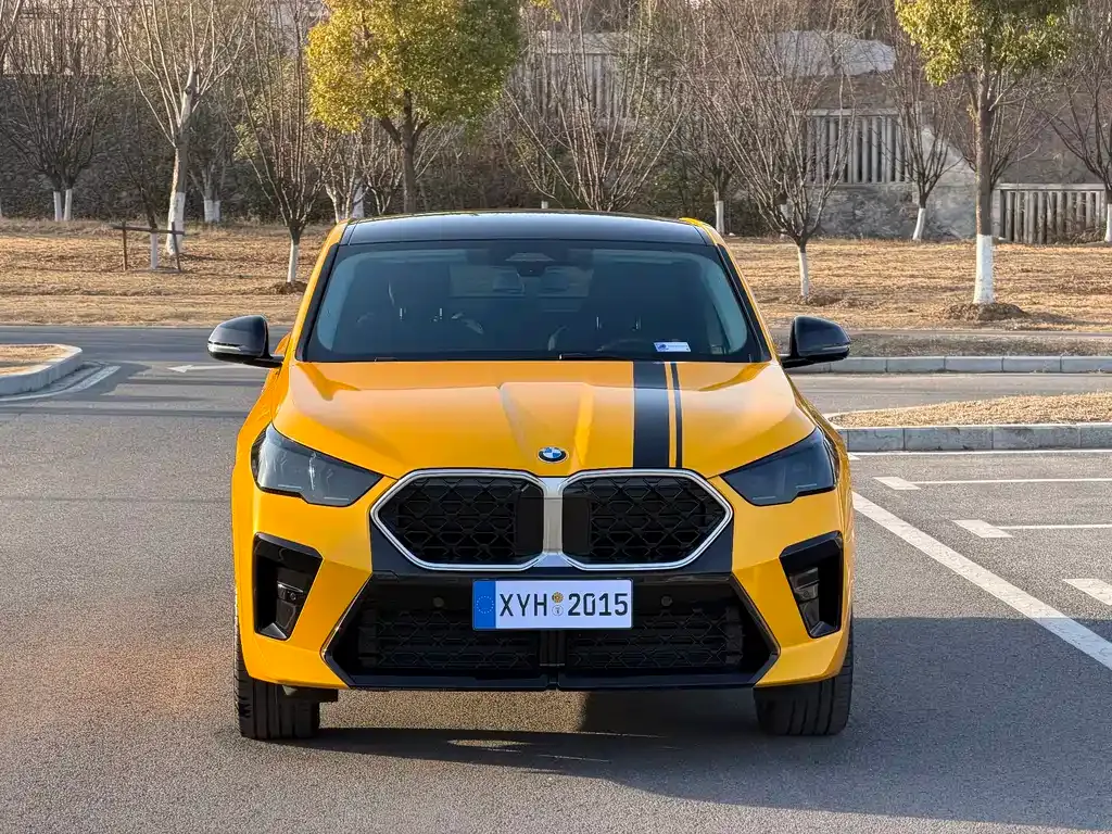 BMW X2 (Import) 2025 из CN, фото 9