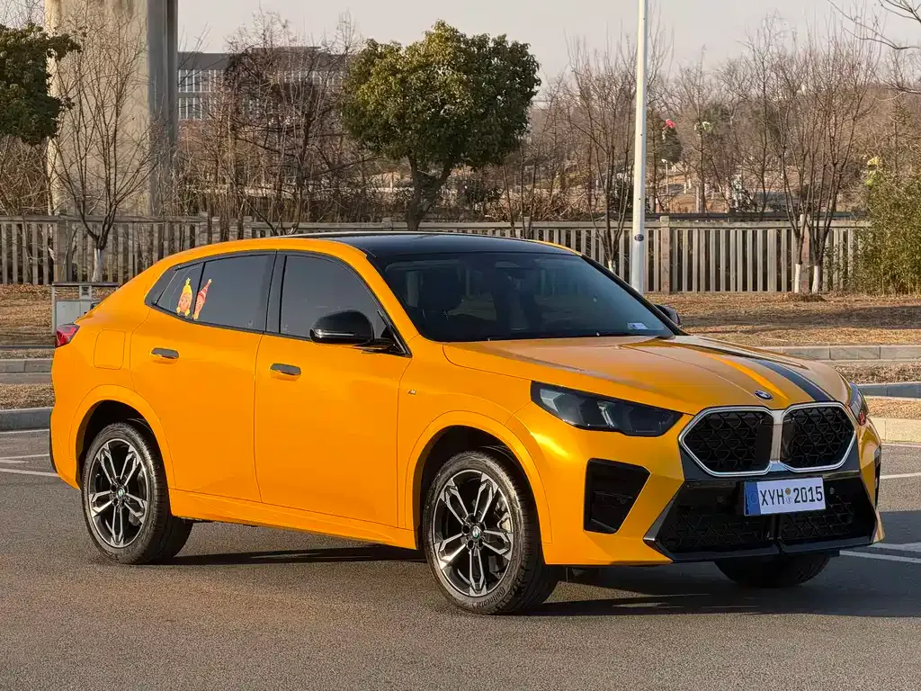 BMW X2 (Import) 2025 из CN, фото 5