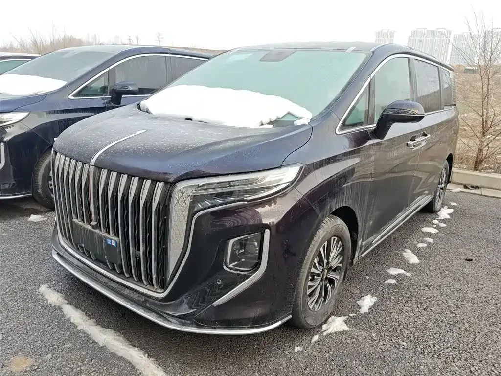 Hongqi HQ9 PHEV 2024 из CN, фото 9