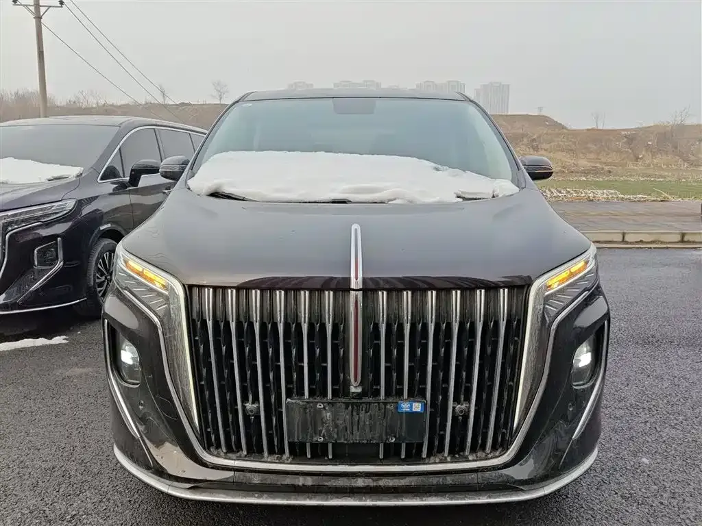 Hongqi HQ9 PHEV 2024 из CN, фото 8