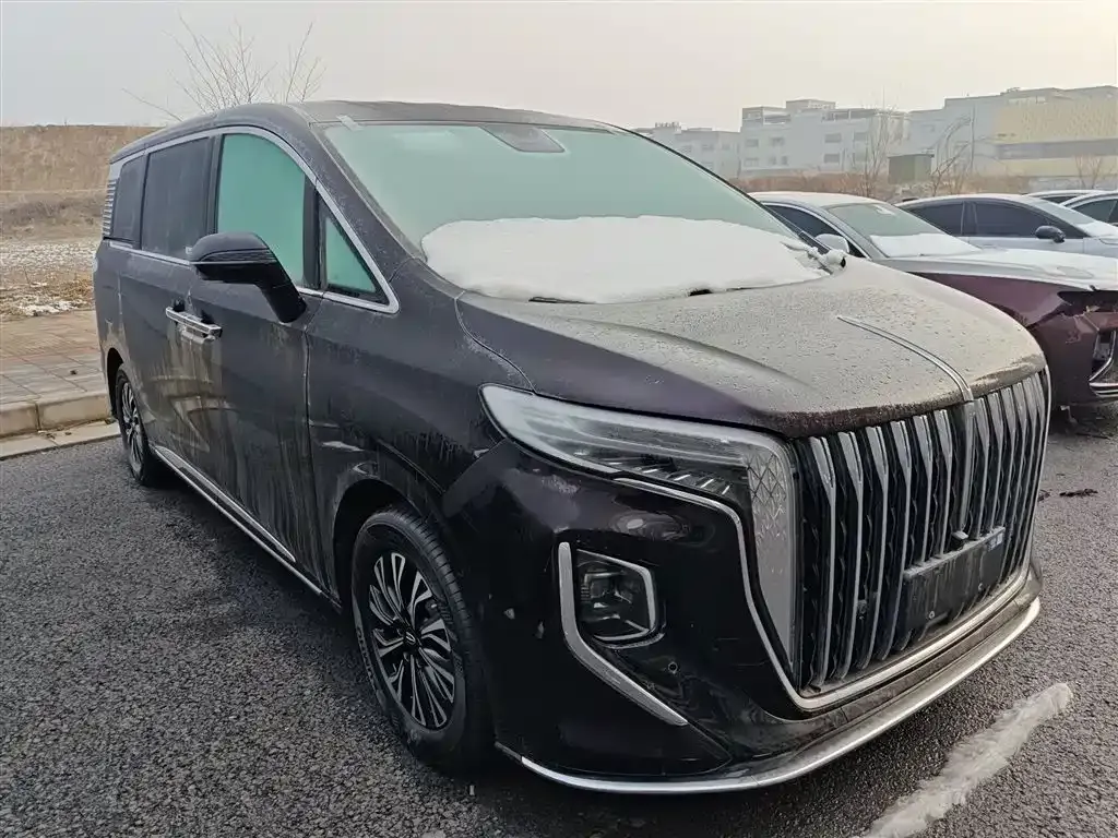 Hongqi HQ9 PHEV 2024 из CN, фото 3