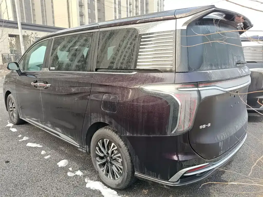 Hongqi HQ9 PHEV 2024 из CN, фото 4