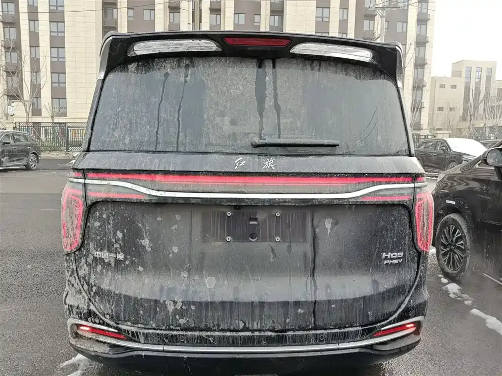 Hongqi HQ9 PHEV 2024 из CN, фото 6