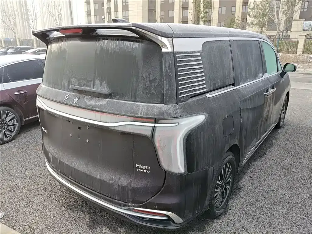 Hongqi HQ9 PHEV 2024 из CN, фото 7