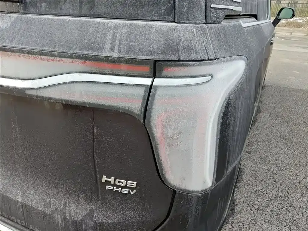 Hongqi HQ9 PHEV 2024 из CN, фото 10