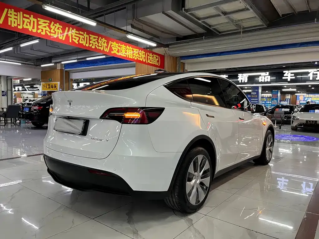 Tesla Model Y 2022 из CN, фото 6