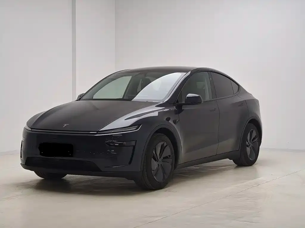 Tesla Model Y 2025 из CN, фото 1