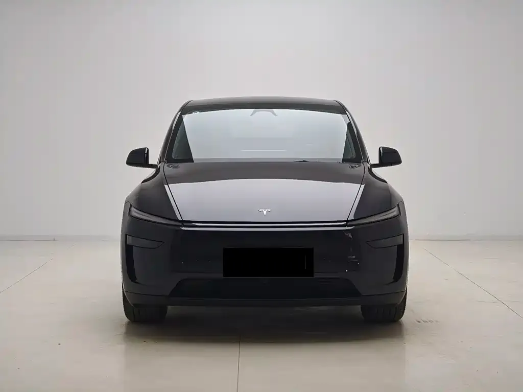 Tesla Model Y 2025 из CN, фото 7