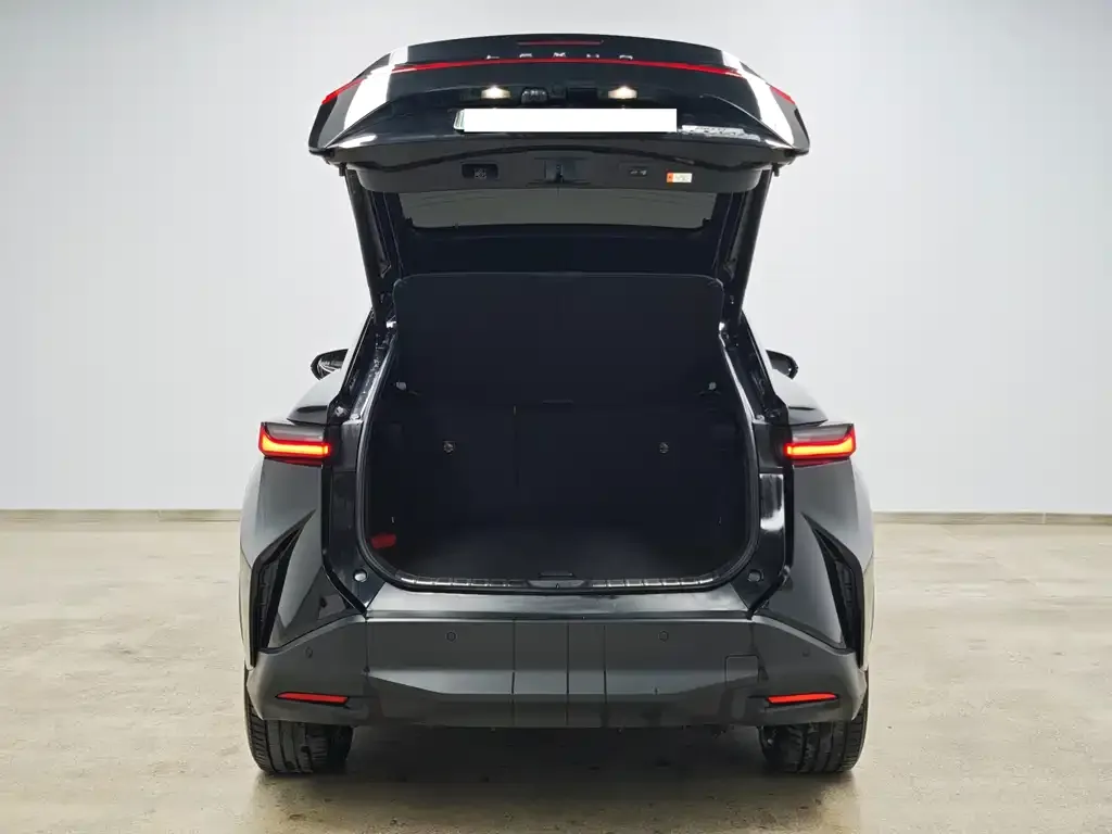 Lexus RZ 2023 из CN, фото 2