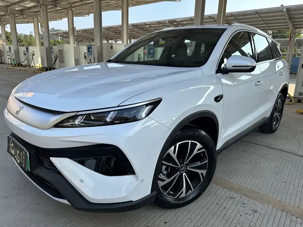 BYD Pro New Energy 2025 из CN, фото 1