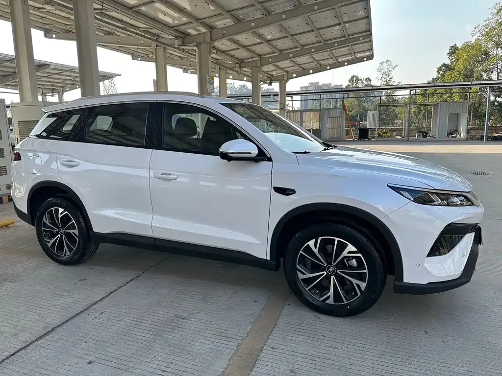 BYD Pro New Energy 2025 из CN, фото 4