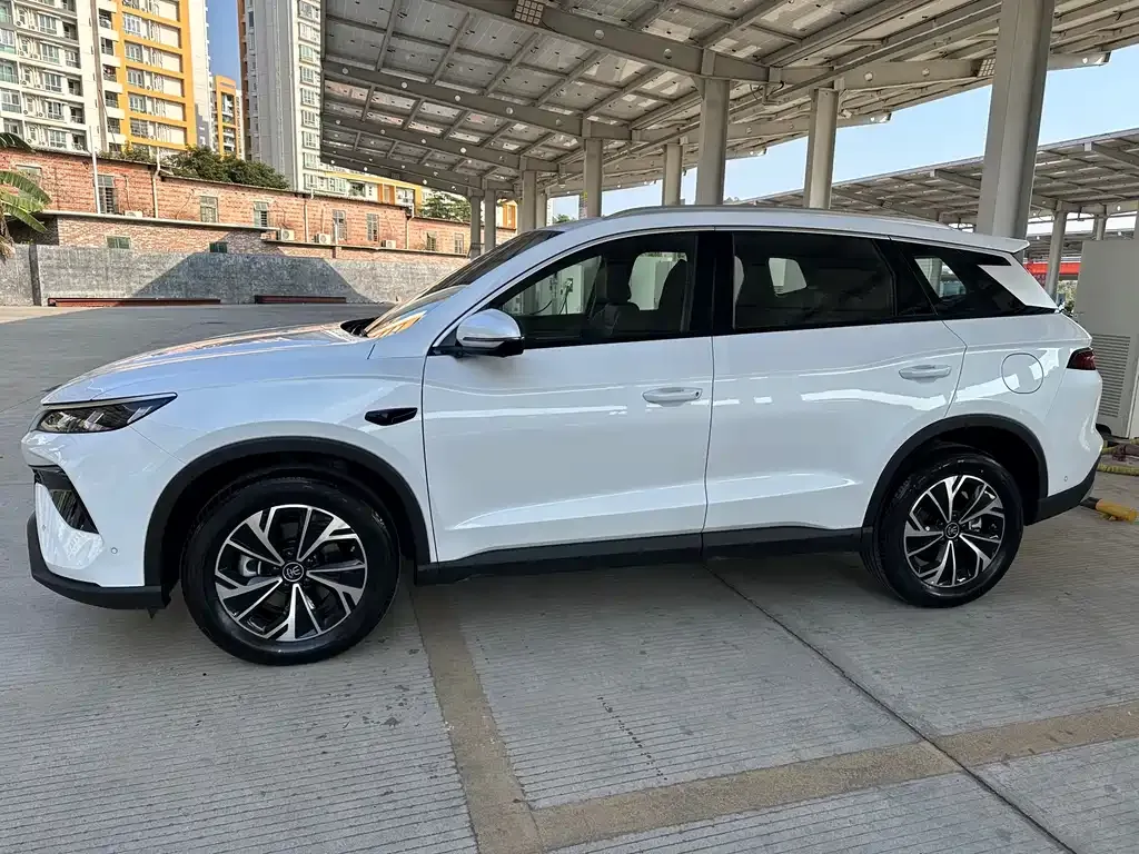 BYD Pro New Energy 2025 из CN, фото 5