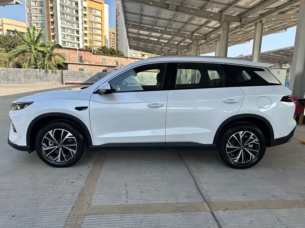 BYD Pro New Energy 2025 из CN, фото 10