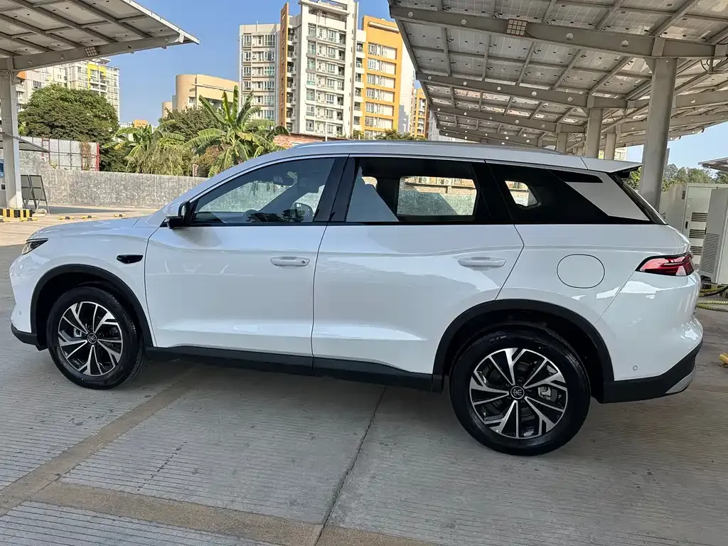 BYD Pro New Energy 2025 из CN, фото 6