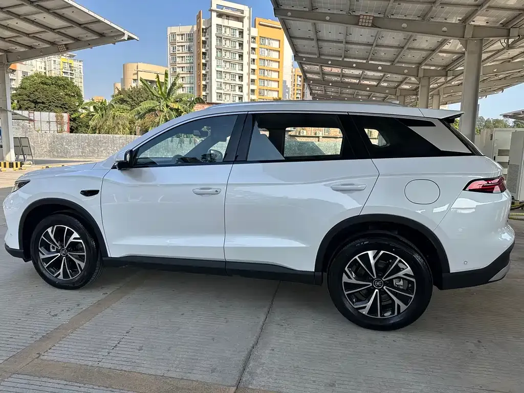 BYD Pro New Energy 2025 из CN, фото 2
