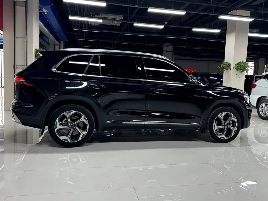 Geely Xingyue L 2024 из CN, фото 10