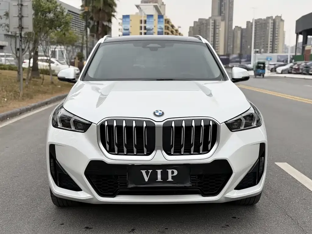 BMW X1 2024 из CN, фото 10