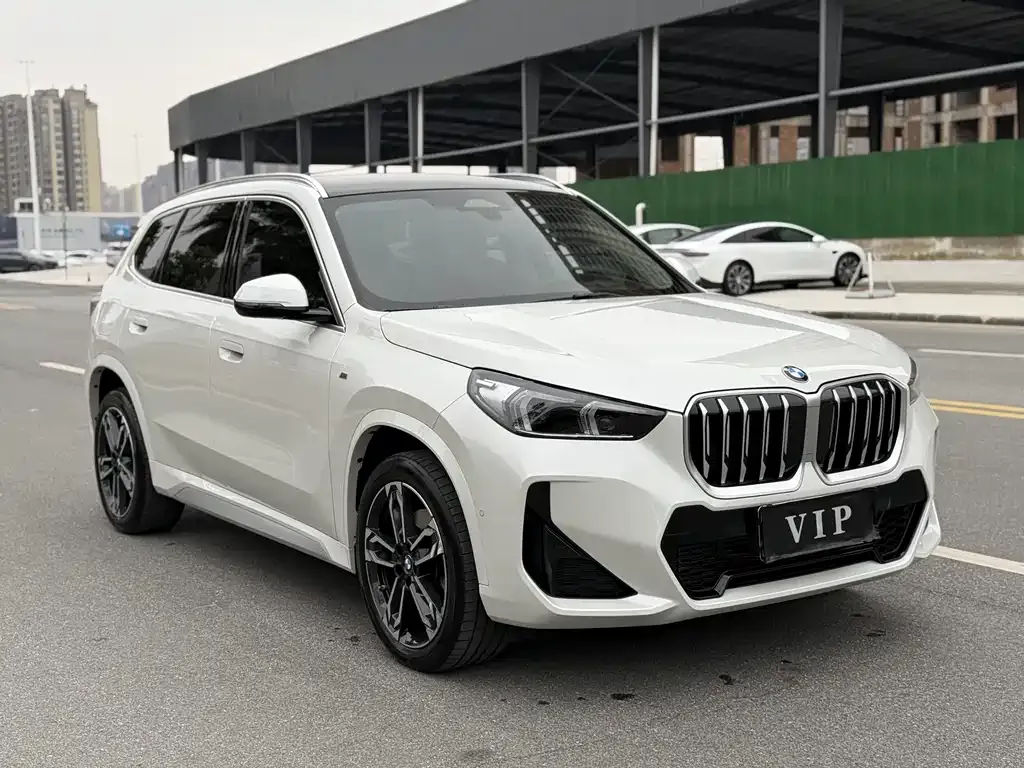 BMW X1 2024 из CN, фото 3