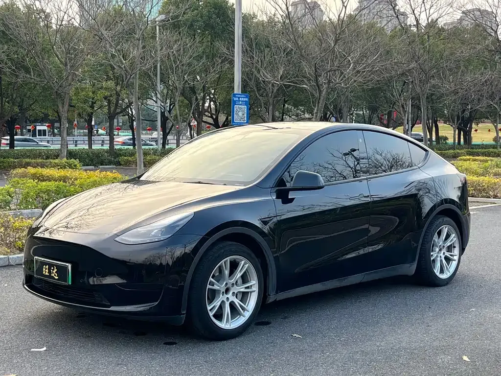 Tesla Model Y 2023 из CN, фото 1