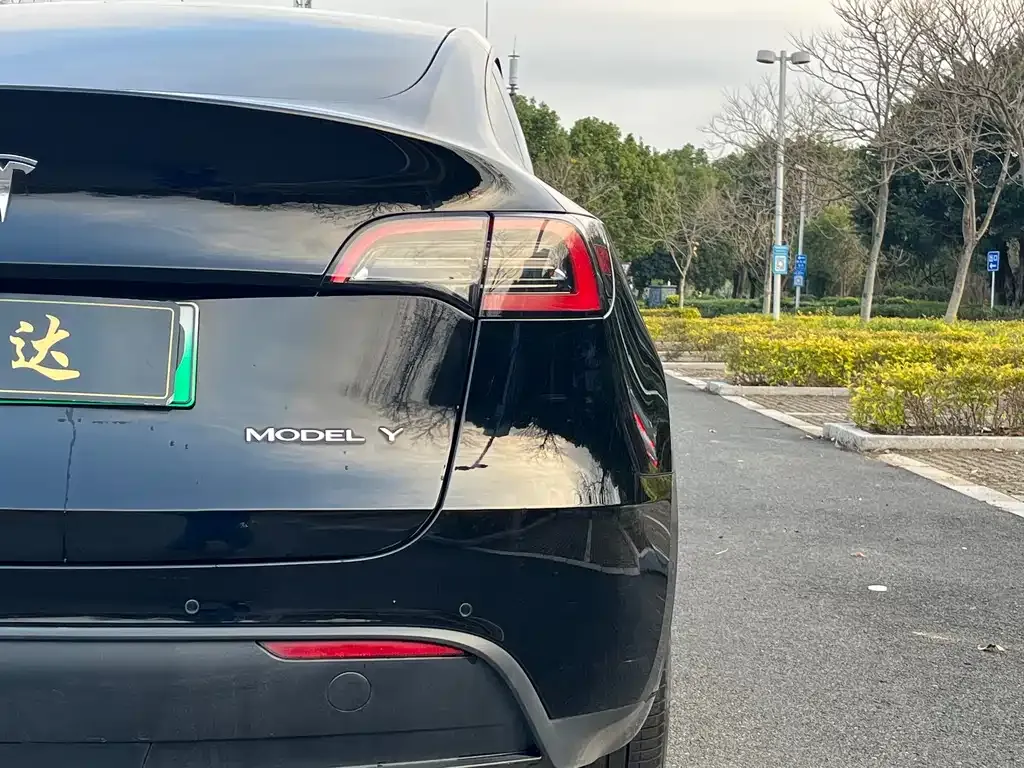 Tesla Model Y 2023 из CN, фото 5
