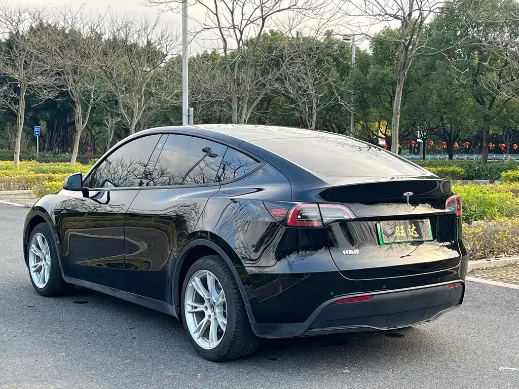 Tesla Model Y 2023 из CN, фото 6