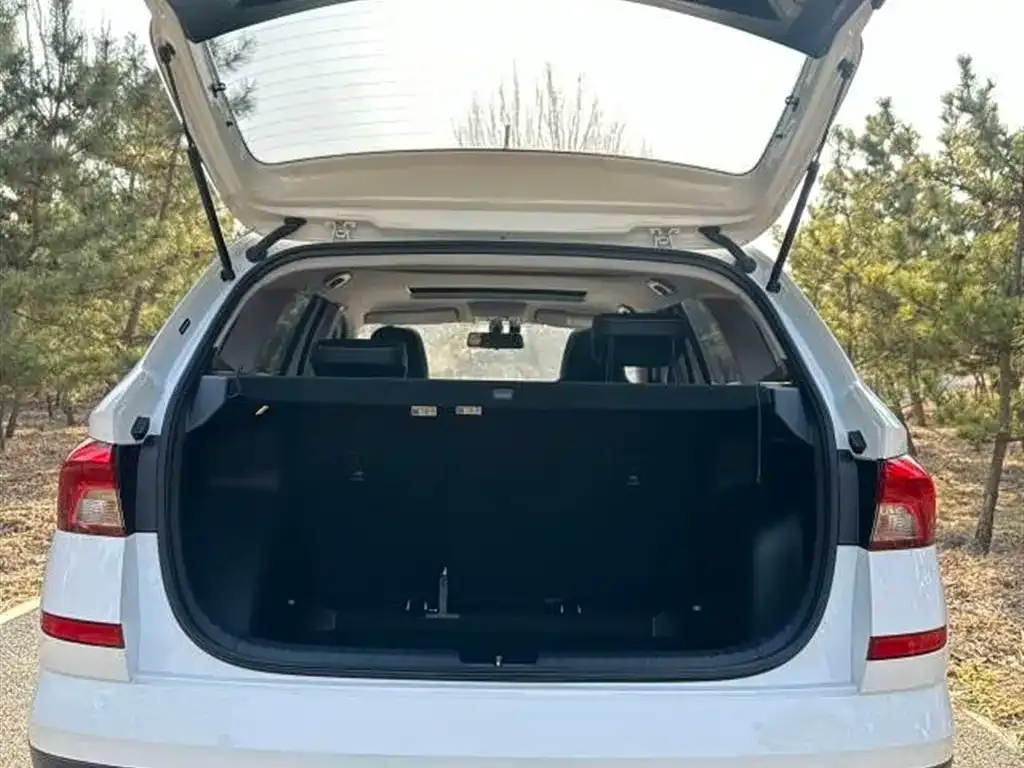 Skoda Kamiq 2021 из CN, фото 5