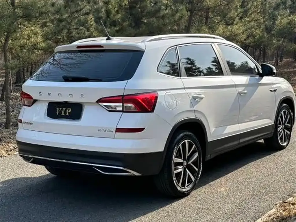 Skoda Kamiq 2021 из CN, фото 4