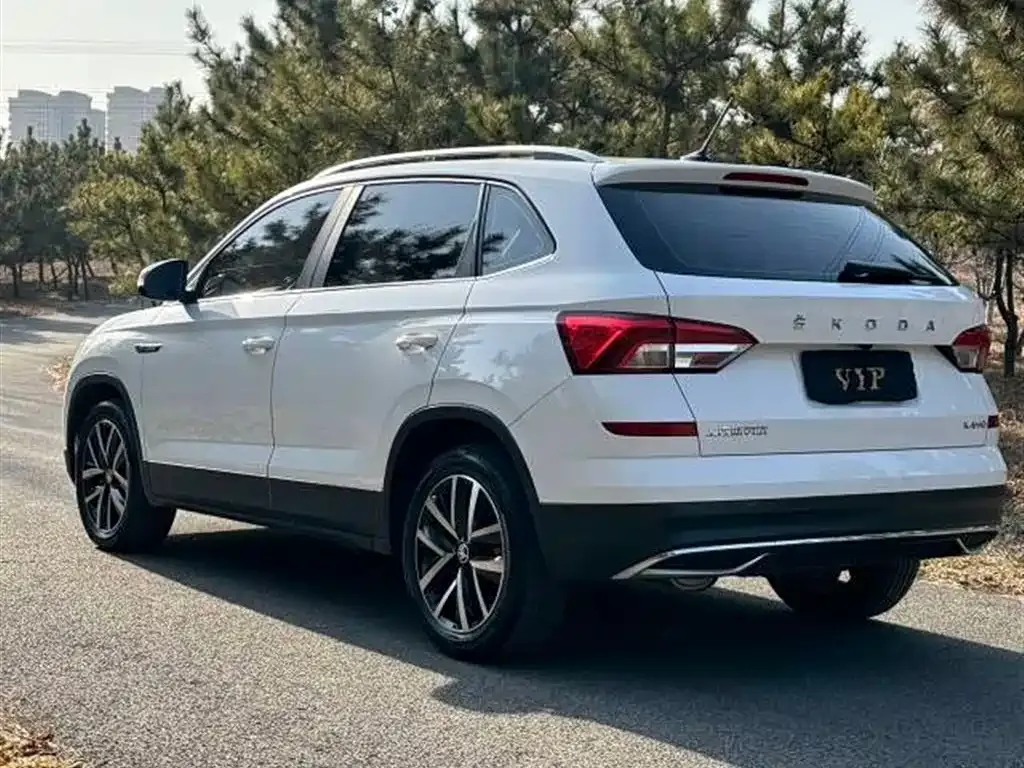 Skoda Kamiq 2021 из CN, фото 7